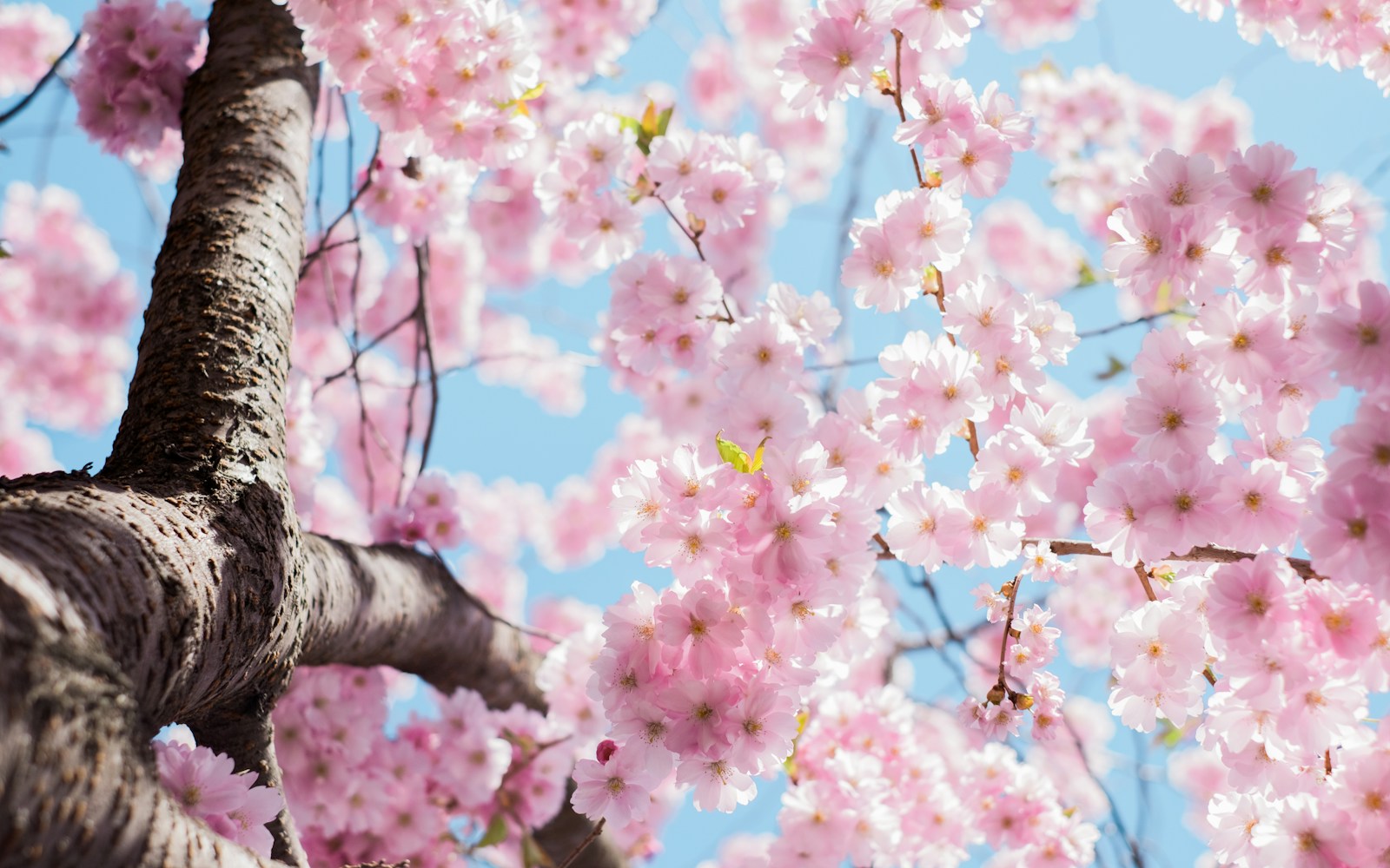 Navigating recruitment during the Spring surge
